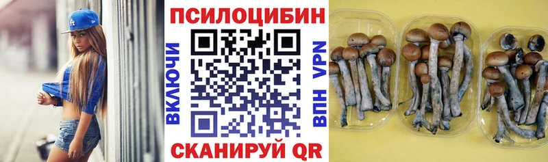 Галлюциногенные грибы GOLDEN TEACHER  магазин продажи наркотиков  Нефтекумск 