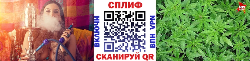 Канабис THC 21%  Нефтекумск 